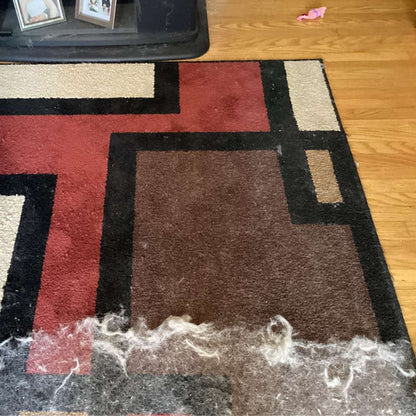 Pet Hair Remover - Carpet Lint Remover